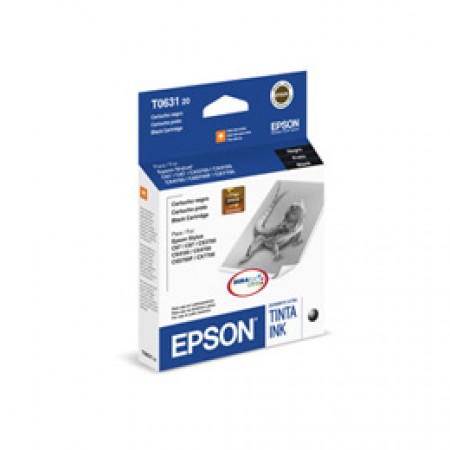 Epson T063120
